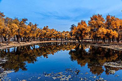 丧尸入侵伦敦 《看门狗：军团》全平台免费加入新模式